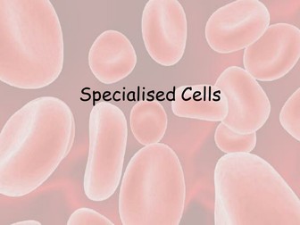 Specialised Cells