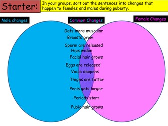 Puberty Changes card sort