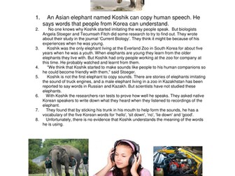 EAL:Reading activities with language development