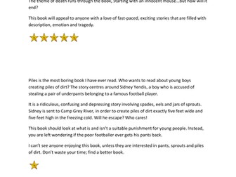 Example book reviews