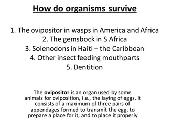 Adaptations for survival powerpoint