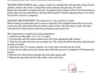How does pH affect the rate of the enzyme amylase