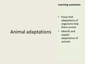 Adaptation