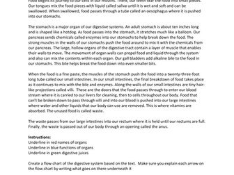 Digestive system DART text to flow chart