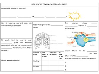9B Fit & Healthy review