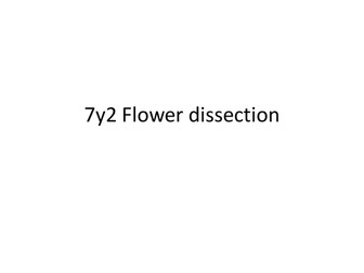 Cells - flower parts and dissection