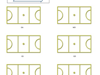 Netball Roles and Positions Starter