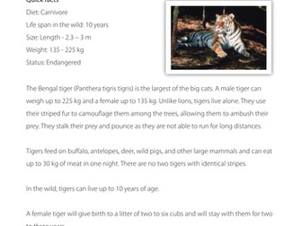 Reading comprehension - Bengal tiger