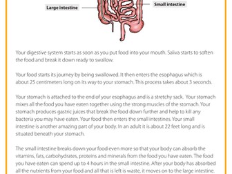 Comprehension - The digestive system
