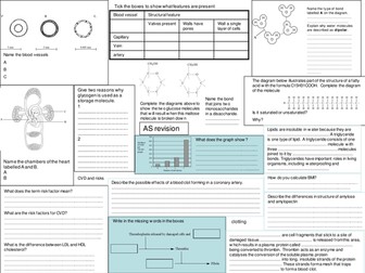 edexcel AS Biology revision sheet topic 1