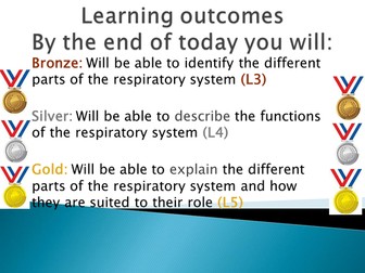Respiration Revision Lesson