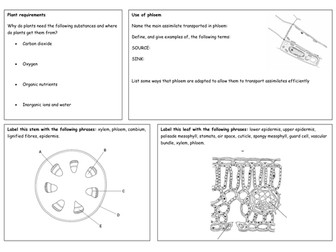 Transport in Plants revision sheets