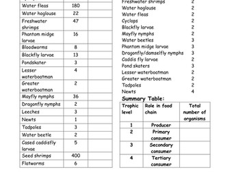 Pyramids of number, biomass and energy