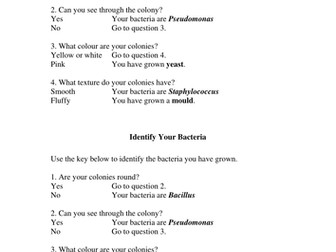 Identifying bacteria