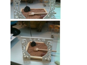 Y7 Zen Garden Project