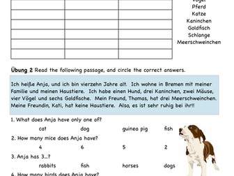Hast du ein Haustier Worksheet