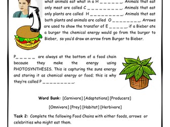 Food Chains Introduction