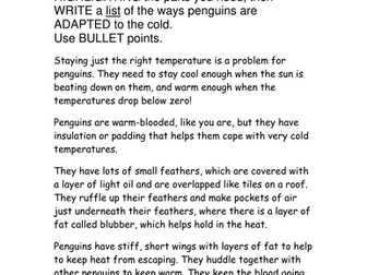 Emperor Penguins