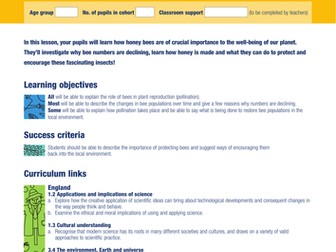 Bee-aware: why our little honey-makers need help