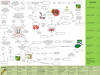 Flow map for revision of Cellular Transport
