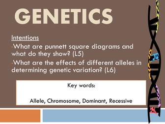 Punnett squares and varitation