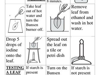 Testing a leaf for starch cut and stick
