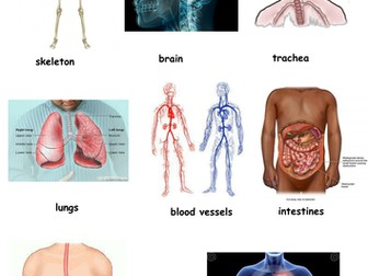 Parts of body