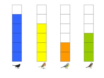Bird Watch: Data Handling and Bar Charts
