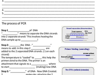 Polymerase chain reaction lesson