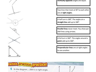 Angles and lines match up plus questions