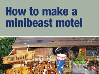 How to make a minibeast motel