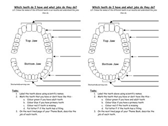 Teeth Unit Plan