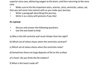 The Circulatory System