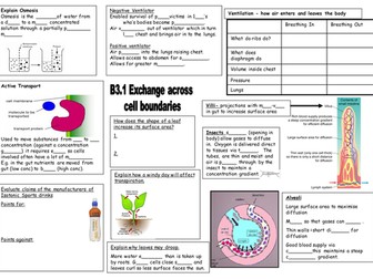 NEW AQA B3.1 Exchange of material revision sheet