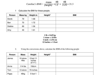 KS4 Biology Body Mass Index BMI  worksheet