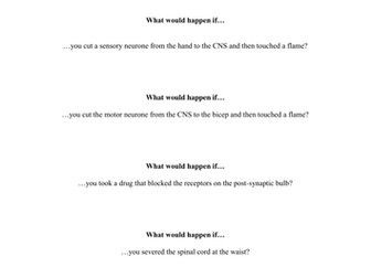 Nervous system activity: What would happen if...?