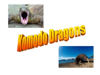 Komodo Dragons information writing
