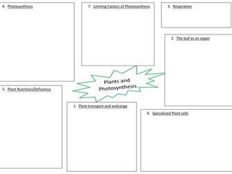 Plants and photosynthesis revision lesson