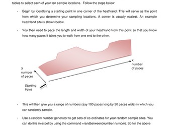 Pony grazing on heathlands