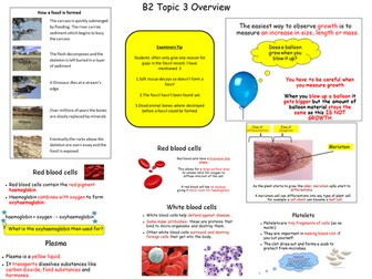 B2 topic 3 Edexcel Revision Map