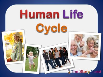 For Kids: Human Life Cycle