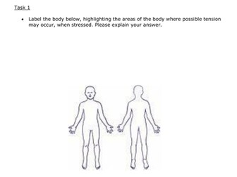 Understanding Stress & Management Techniques