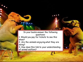 Animals in Zoos and Sports, ethics, religion