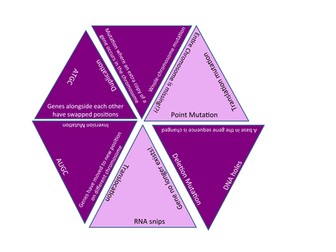 DNA mutations game (AS Biology)