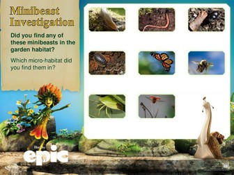 Minibeasts and habitats EPIC - KS1 & KS2