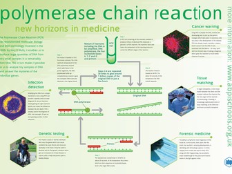 Polymerase chain reaction interactive activity