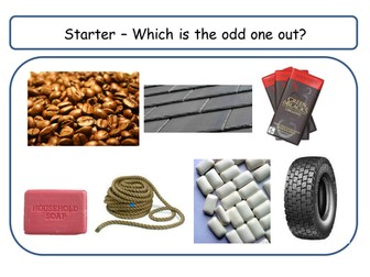 Benefits of the Rainforest