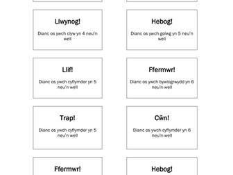 Darwin's Finches and SotF Board Game - WELSH