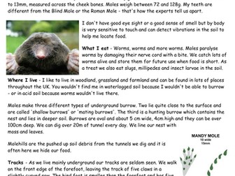 Project X guided reading TOXIC 4c to 4b