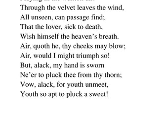His language and poetry - Sonnet 16 (On a day...)